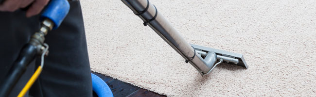 Carpet Washing